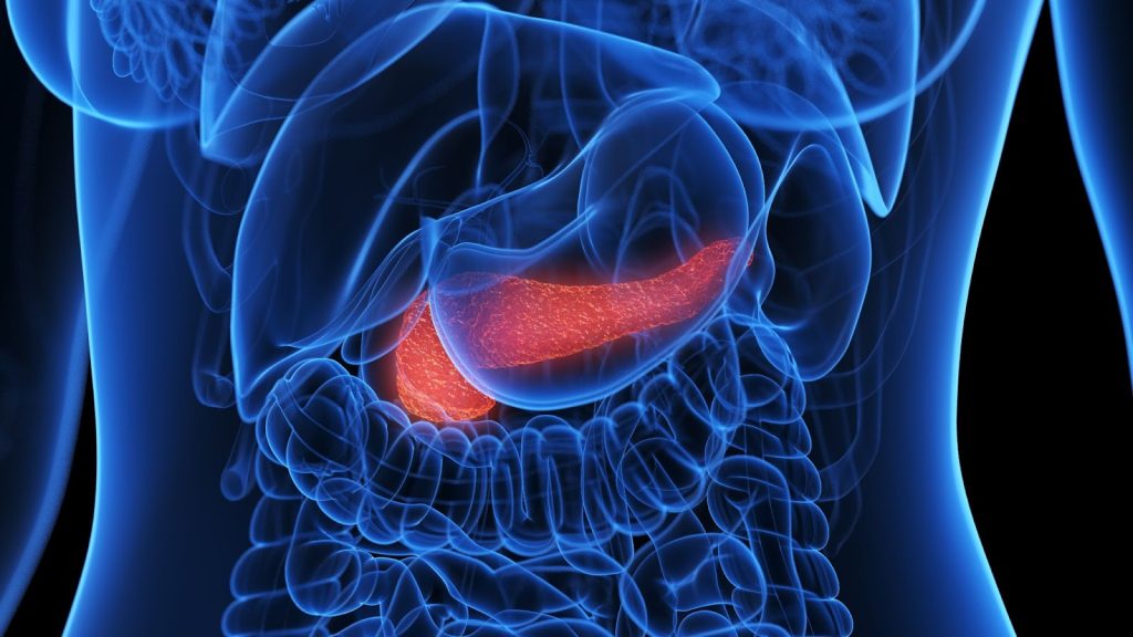 Cause of Prediabetes Singapore 